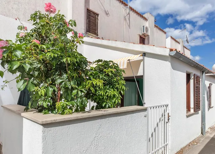 M-500 * 바르바리가